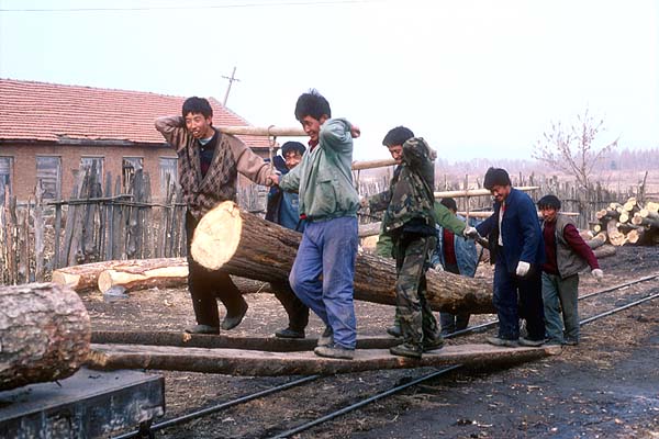 Loading at Baishila