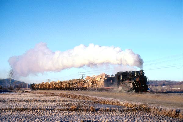 My last log train at Zhenzhu