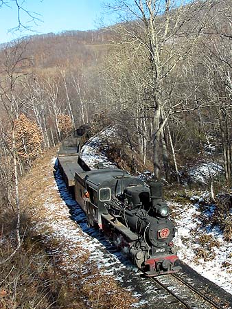 On the horseshoe (21043)